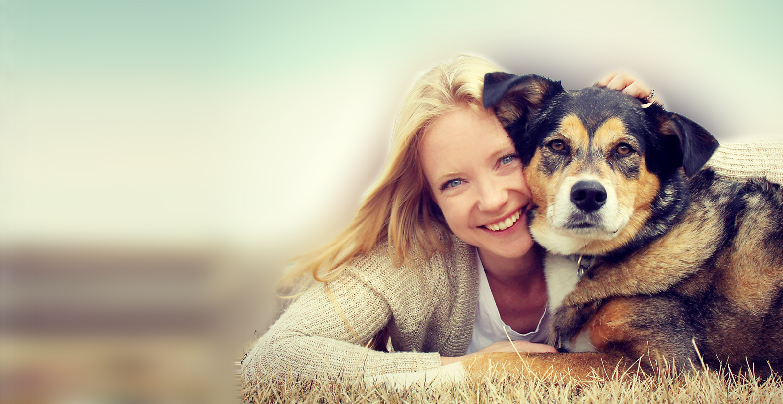 Happy dogs enjoying Kindred Pet food