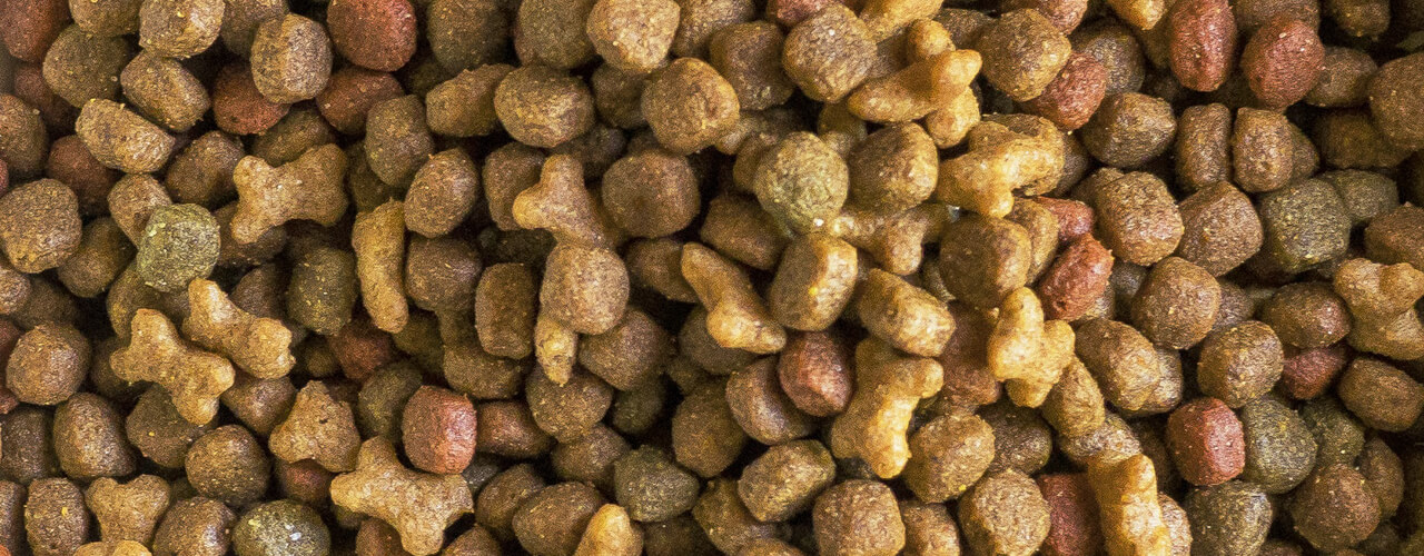 Kindred Pet kibble close-up
